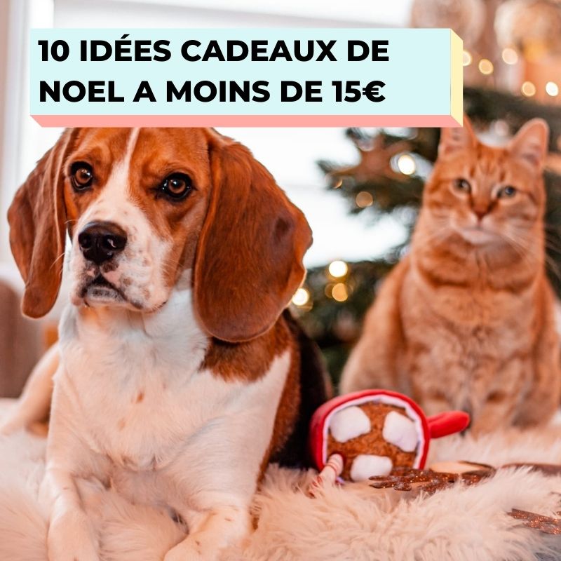 10 idées cadeaux de noel pour chien et chat a moins de 15 euros 
