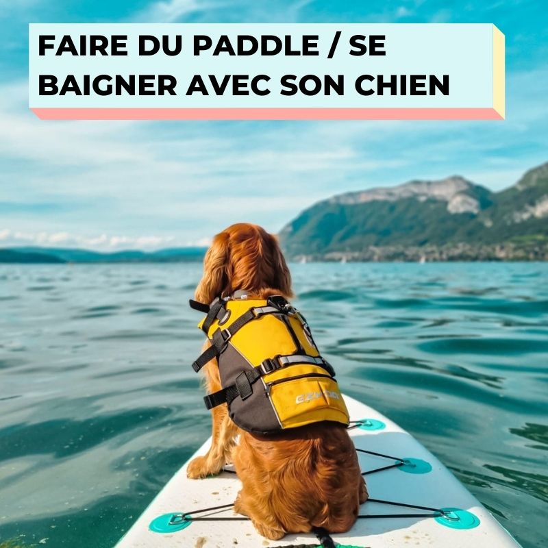 faire du cani paddle et se baigner avec son chien à Annecy