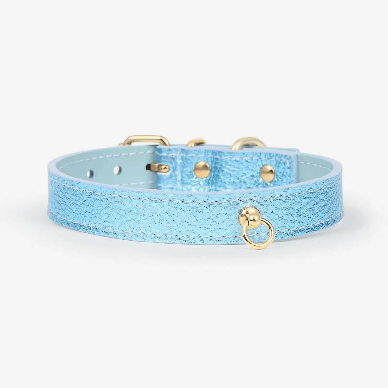 Collier pour chien bleu ciel tendance confortable et résistant en bleu ciel métallique de Branni Pets