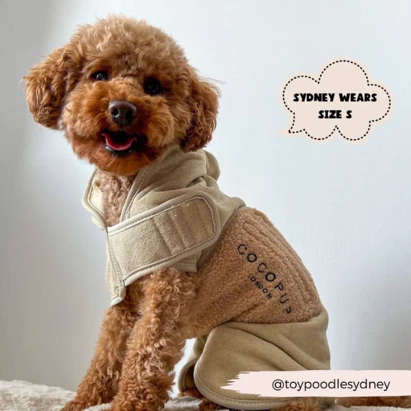 Détail du peignoir serviette de cocopup london en teddy beige pour secher votre chien