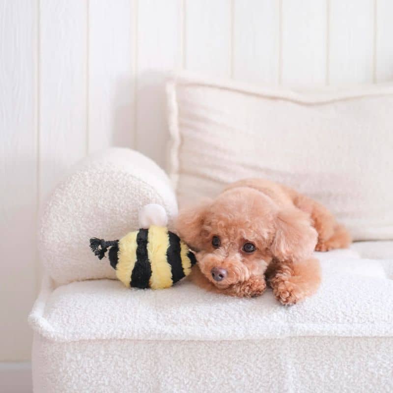 jeu d'occupation et de fouille pour chien en forme d'abeille  avec cachette à friandises et balle rebondissante qui couine Bee pop Lambwolf Collective