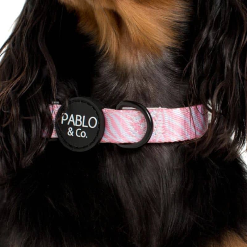 Collier pour chien tendance et confortable en rose