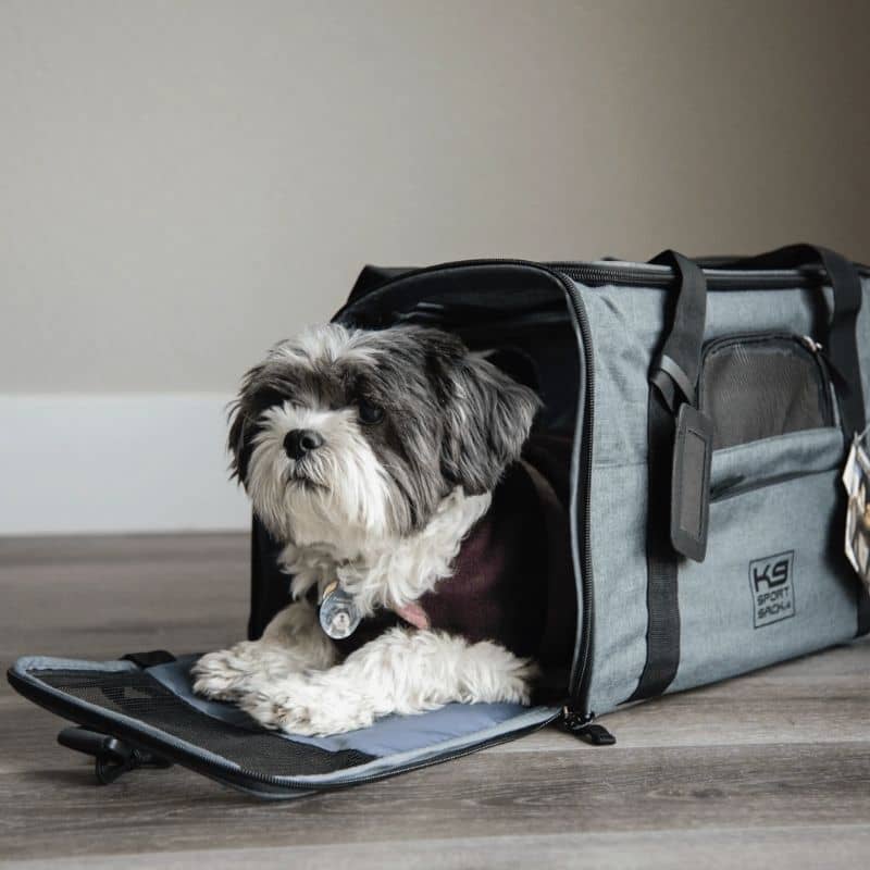 sac de transport Karry On pour chien et chat de la marque K9 Sport Sack homologué pour les voyage en cabine d'avion