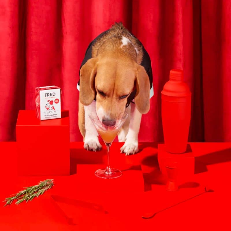 boisson pour chien au bouillon de boeuf Wuffmopolitan par Fred & Felia 