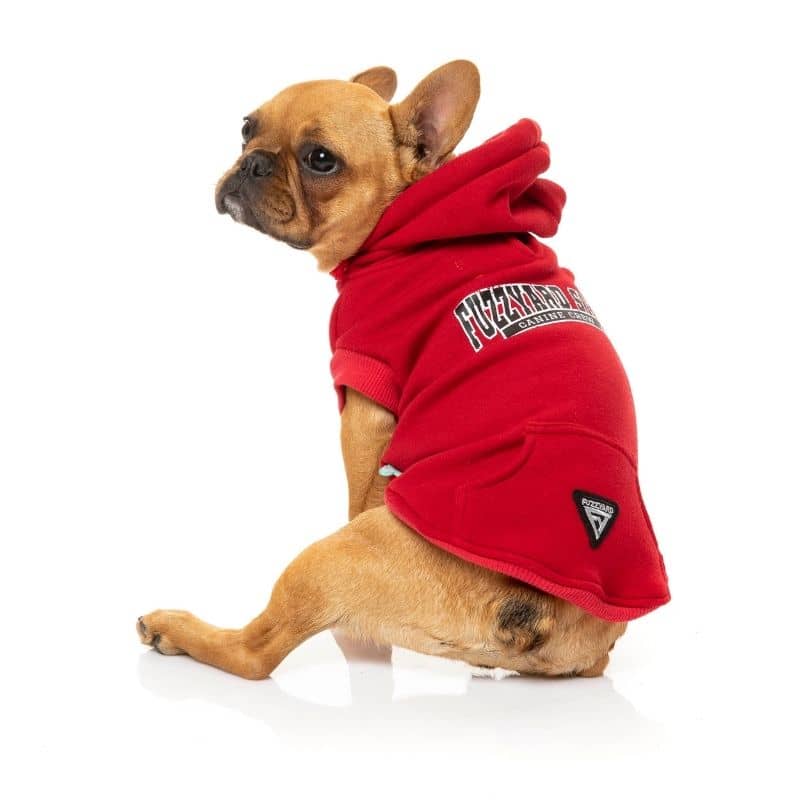 hoodie à capuche pour chien - university rouge