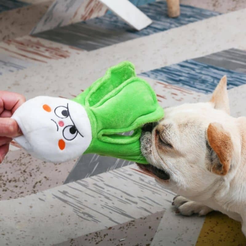 jouet d'occupation pour chien “Feisty Veggie - Bok Choy”🥬 HugSmart