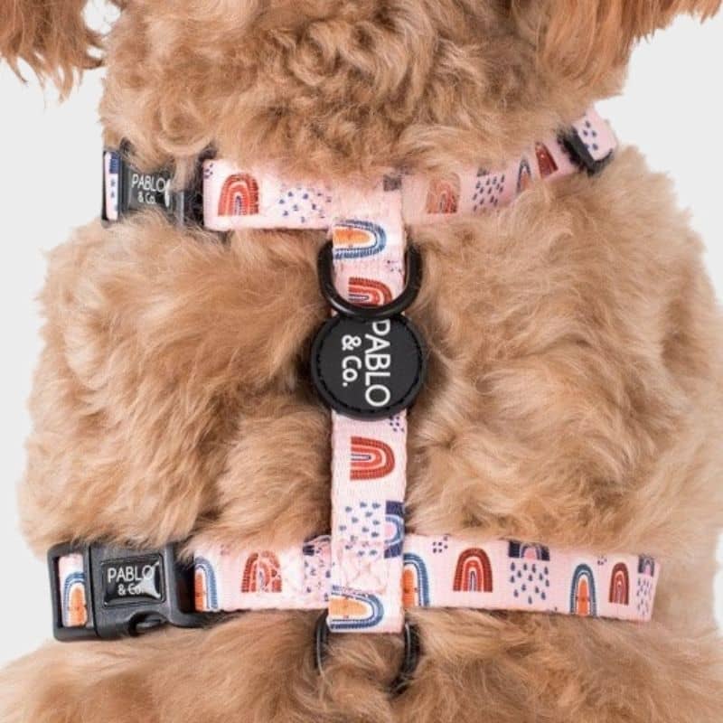 harnais strap pour chien de la marque Pablo & Co arc-en-ciel rose