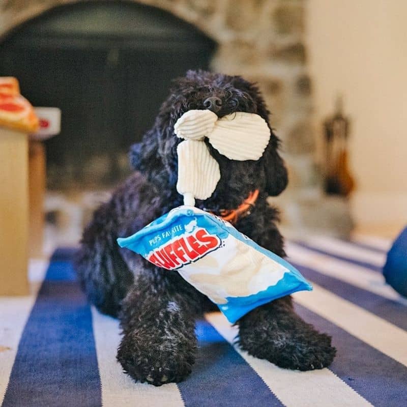jouet peluche pour chien intéractif en forme de paquet de chips PLAY