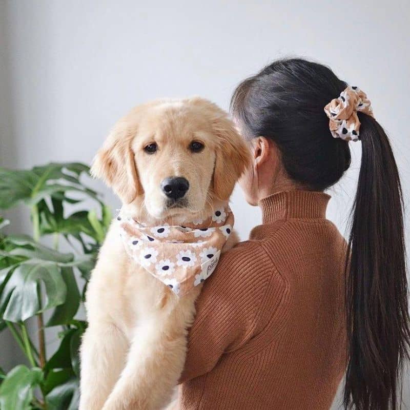 Dog mom avec chien - chouchou assorti au bandana