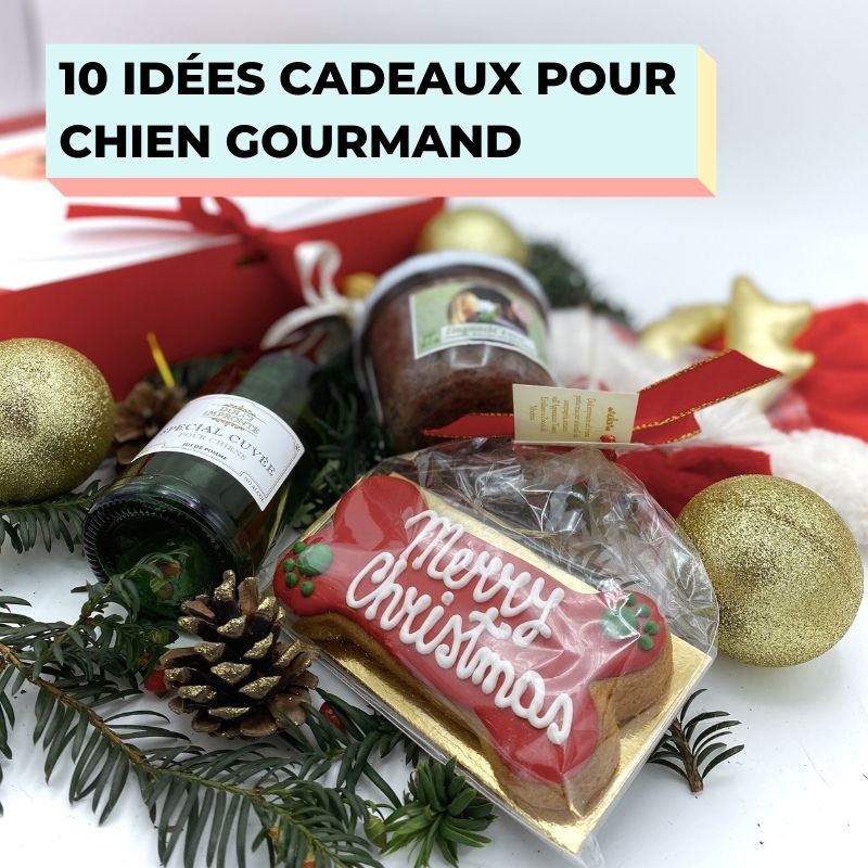 idées cadeaux de noel pour chien