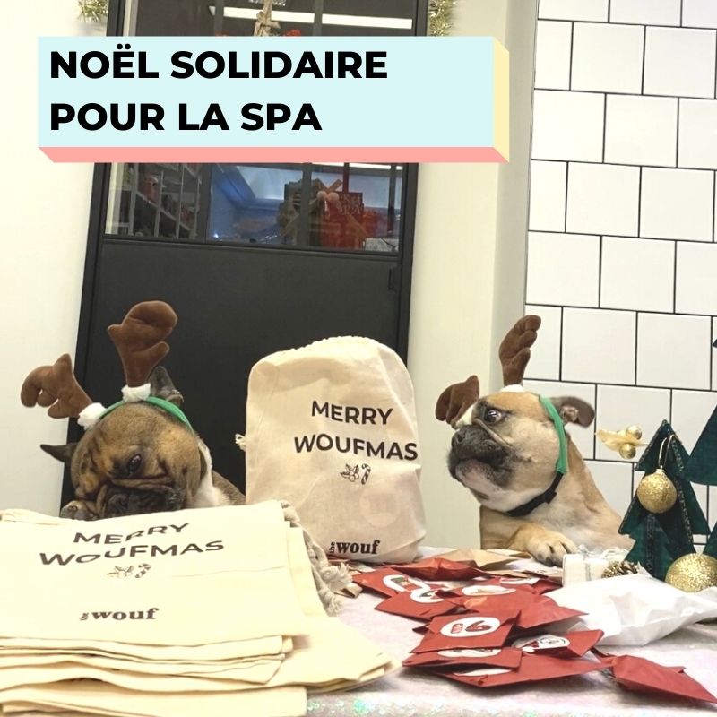 noel solidaire SPA Annecy 