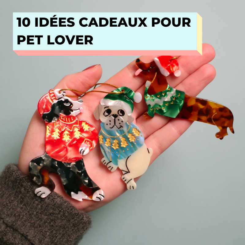 10 idées cadeaux de noel pour pet lover 