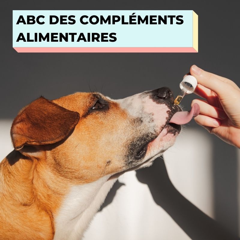 THE WOUF BLOG - L'ABC DES COMPLÉMENTS ALIMENTAIRES