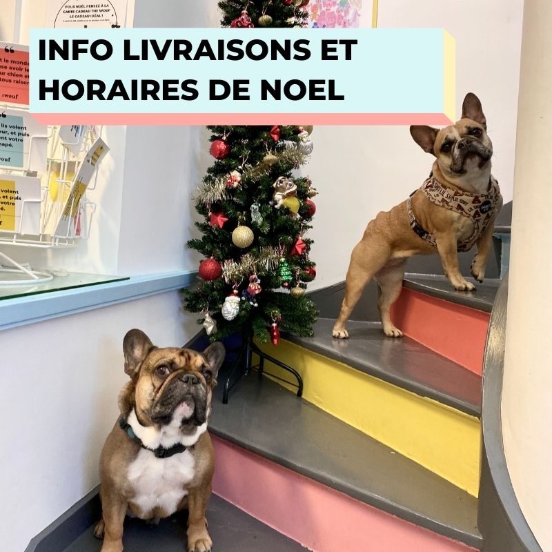 info livraison et ouverture boutique THE WOUF Noel 