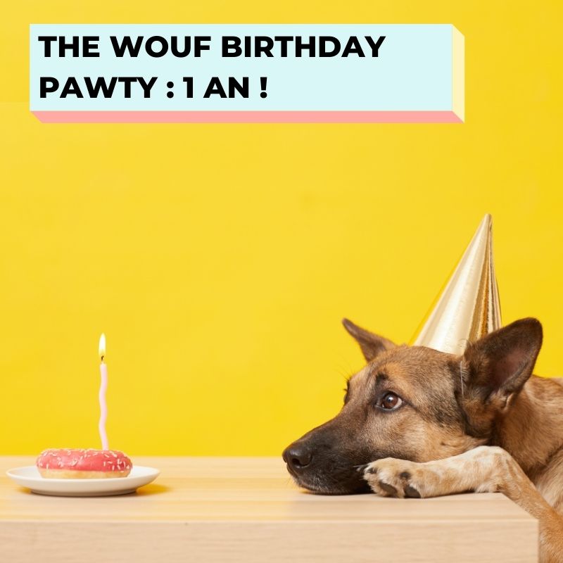 SAVE THE DATE : THE WOUF BIRTHDAY PAWTY LE 29.01.2022