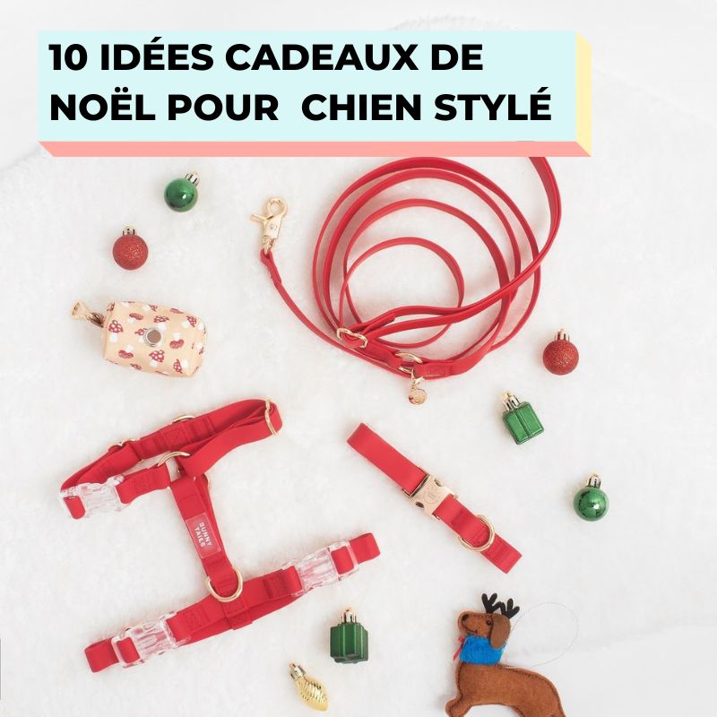 NOËL 2023 : 10 IDÉES CADEAUX POUR CHIEN STYLÉ