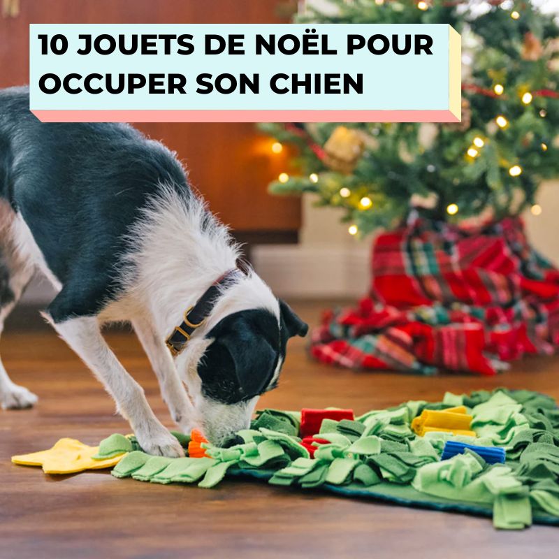 jouets de noel pour chien 