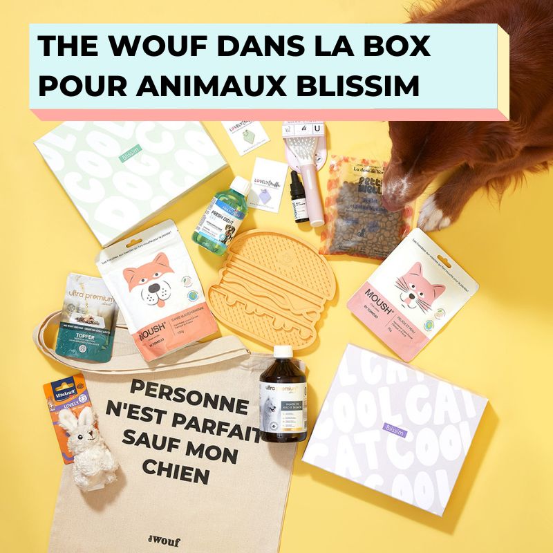 box Blissim animaux de compagnie the wouf store