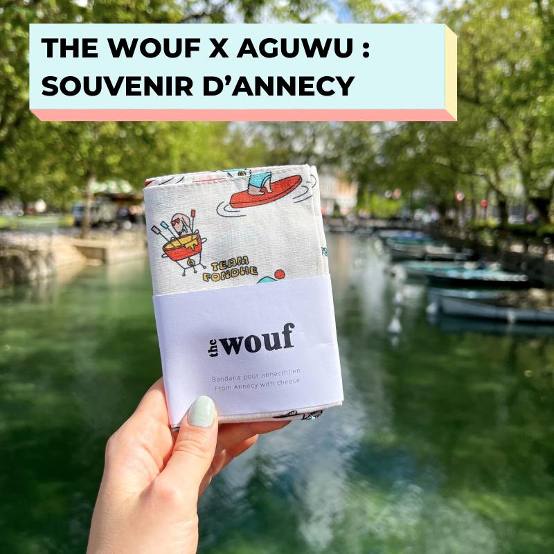 offre souvenir d'annecy pour chien 