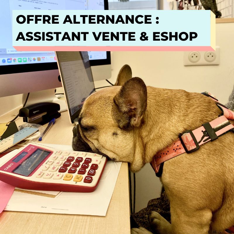 OFFRE ALTERNANCE - ASSISTANT VENTE & ECOMMERCE