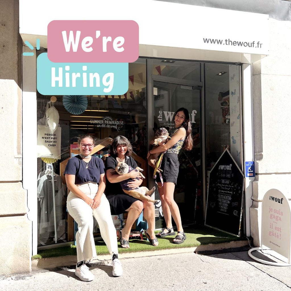 offre d'emploi CDI the wouf vendeur Annecy 