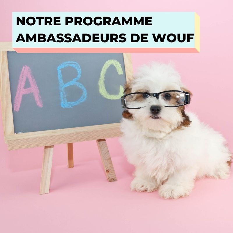 NOTRE PROGRAMME AMBASSADEURS DE WOUF