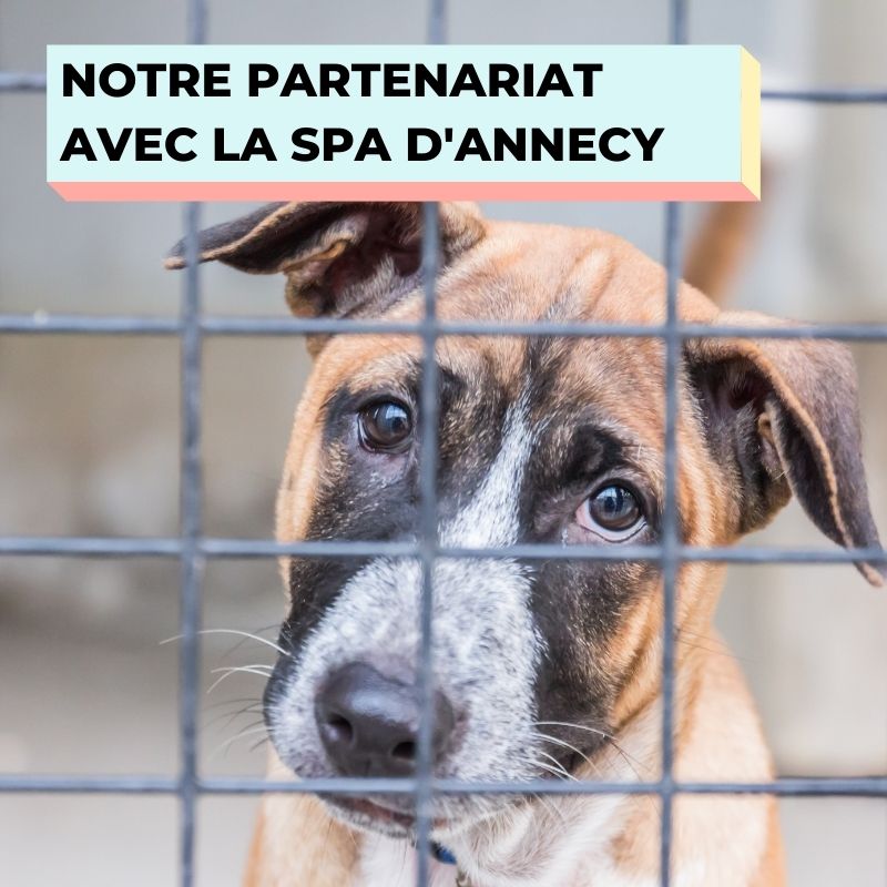 partenariat entre la spa d'Annecy et THE WOUF