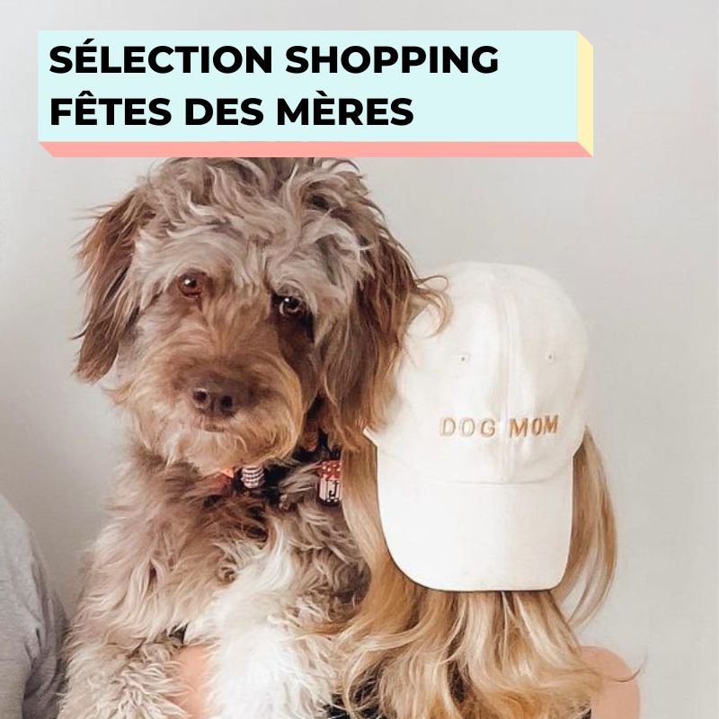 THE WOUF BLOG - 10 IDÉES CADEAUX DE NOEL POUR CHIEN À MOINS DE 15€