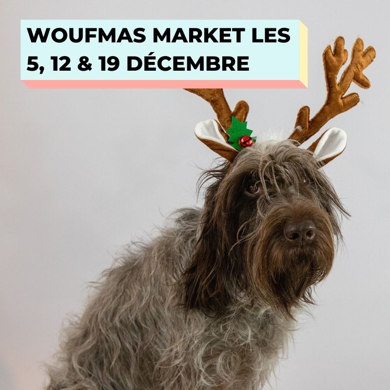 woufmas market chez the wouf les dimanches 5 12 et 19 décembre à Annecy 