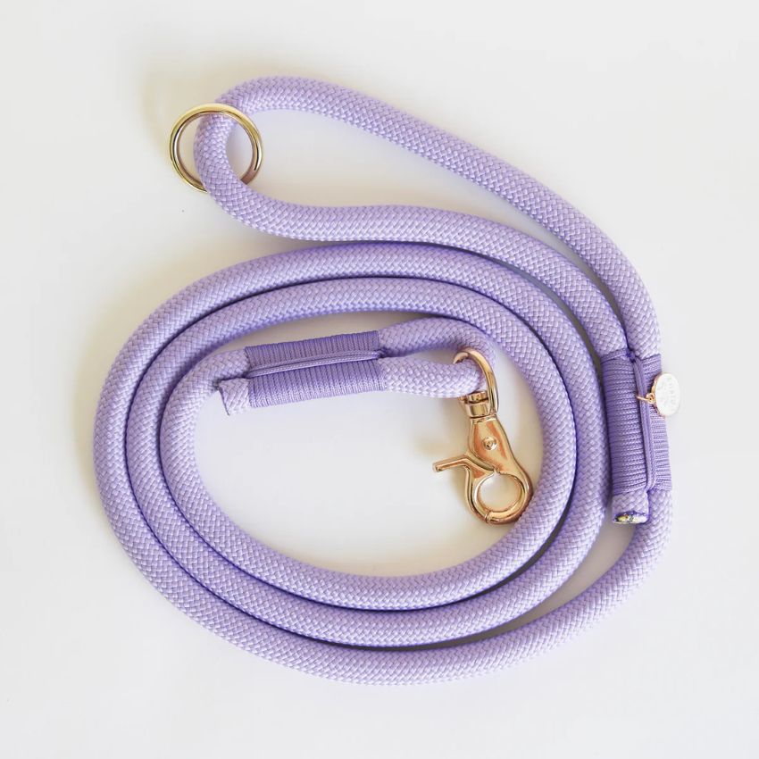 laisse pour chien : laisse simple ou multiposition pour l'éducation ou à porter en bandoulière en corde ou en matière waterproof