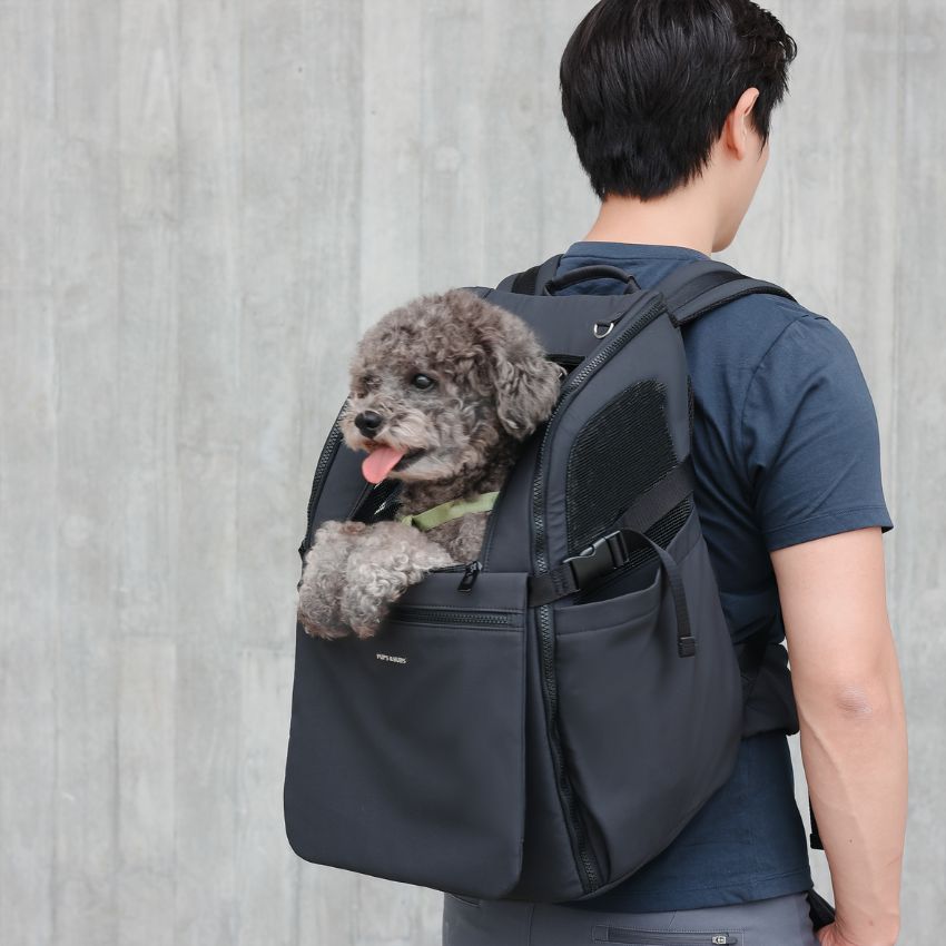 voyager avec son chien : sacs de transport, sac à dos, gourde & pipette calmante à la valériane pour mal du transport