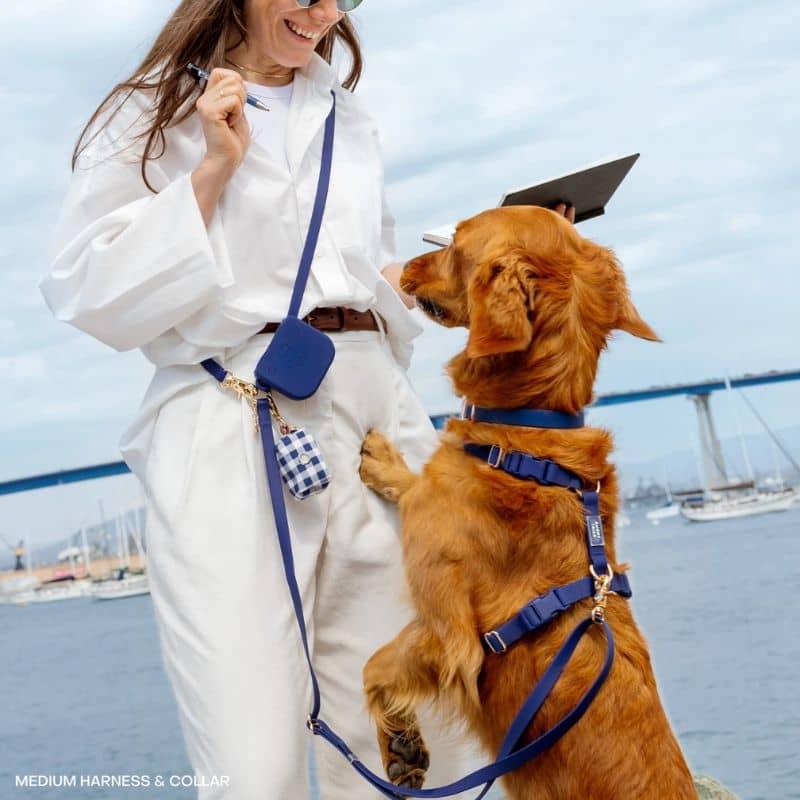 SUNNY TAILS - Bleu Marine "Navy"