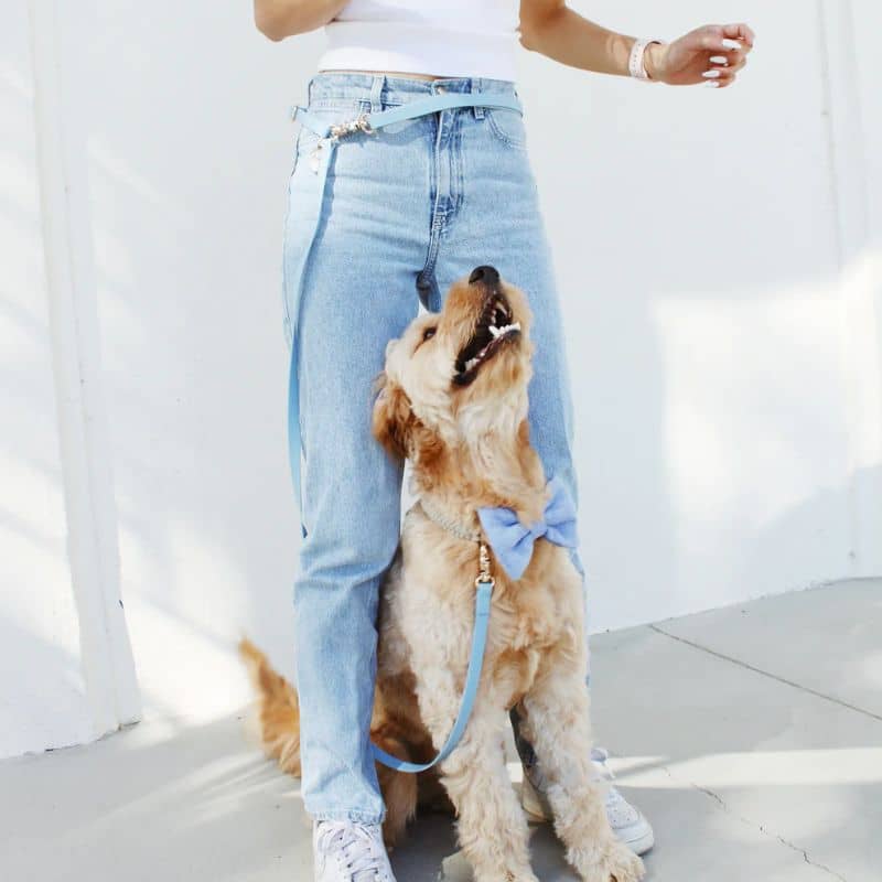 SUNNY TAILS - Malibu Bleu
