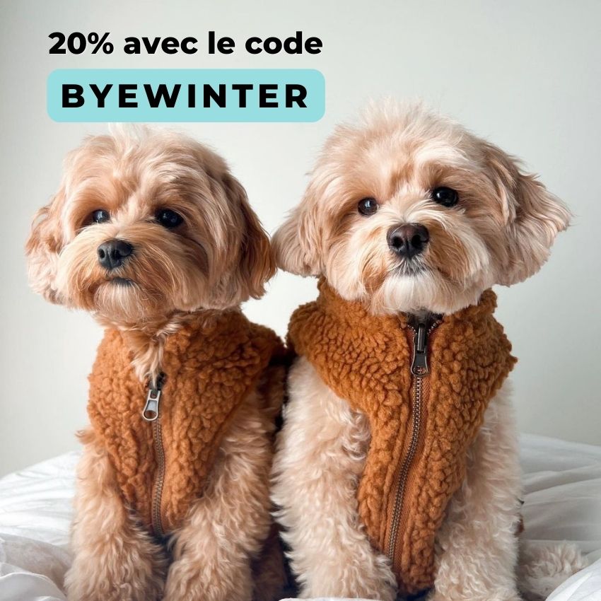 promo fin de collection hiver manteau, pull et harnais chaud pour chien 