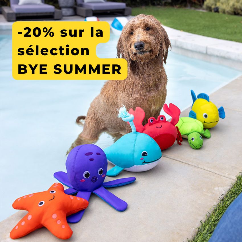 glace pour chien, jouets été, accessoires waterproof en promo