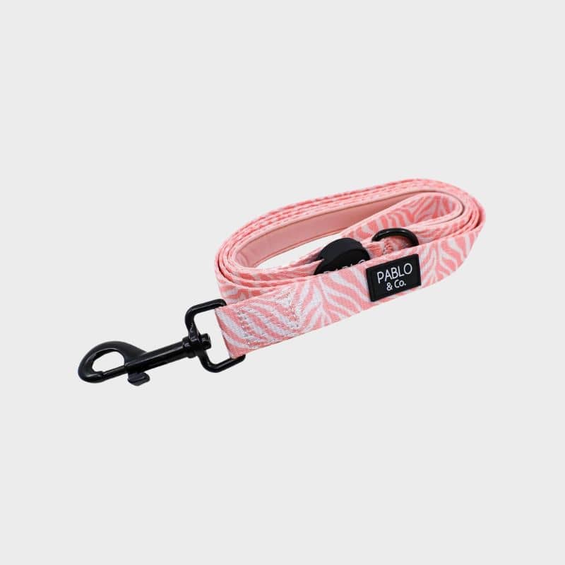 Laisse en tissu pour chien motif pink zebra de Pablo & co