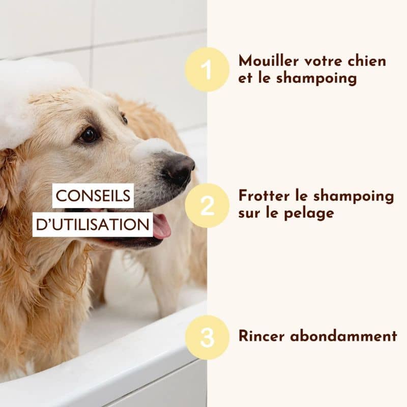 Shampoing Le Miraculeux de chez Dexter et Mango solide pour chien pour prendre soin de son animal