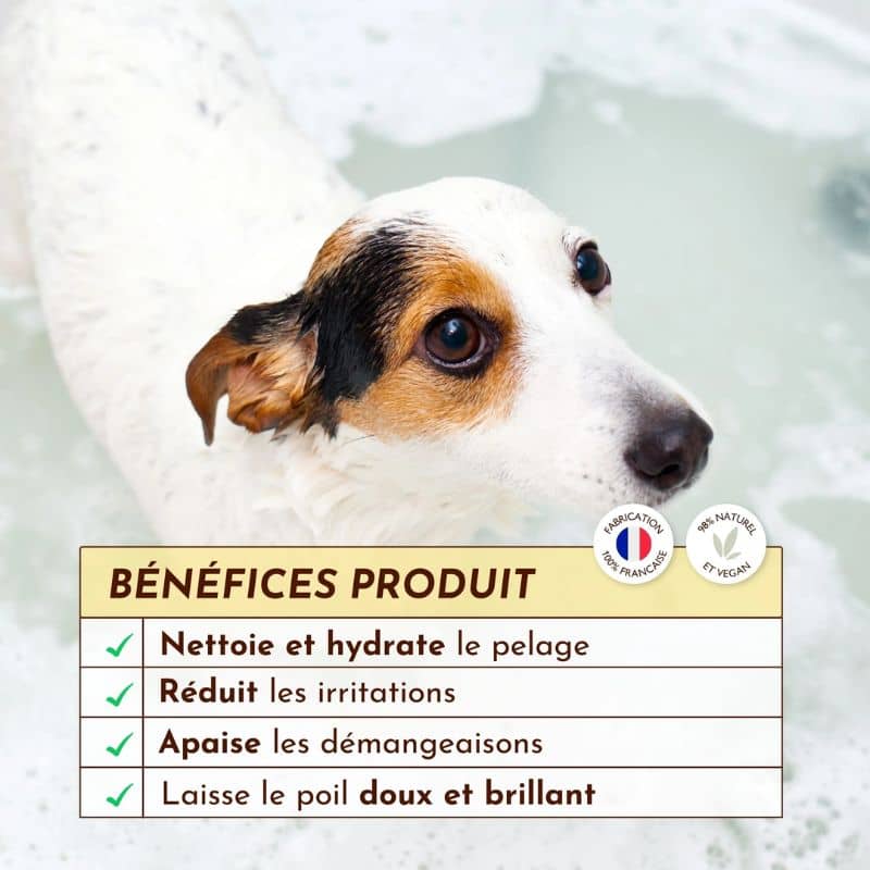 Shampoing Le Miraculeux de chez Dexter et Mango solide pour les chiens anti démangeaisons