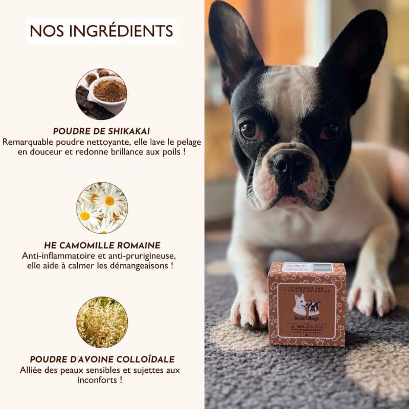 Shampoing Le Miraculeux de chez Dexter et Mango solide pour chien à base de poudre de shikakai, de camomile et poudre d'avoine colloidale