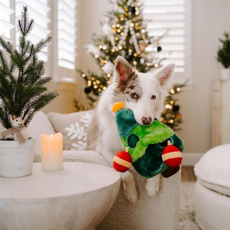 Jouet de fouille zippypaws en forme de sapin pour chien avec ses jouets en forme de boule de noël pour y cacher des friandises et s'occuper lors des absences