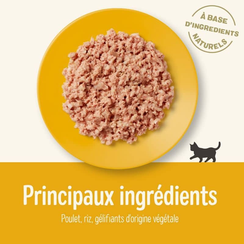 Patée complémentaire pour chaton au poulet en gélée Applaws