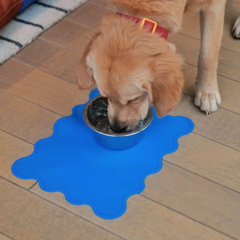 Tapis de gamelle en silicone sans BPA de la marque Approved by Fritz snorkel blue Fritz mat flash et fun