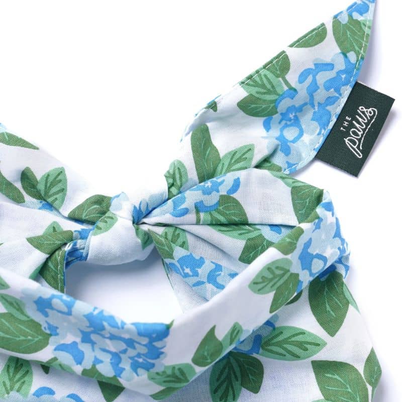 Bandana de la marque The Paws Sconset avec des fleurs bleues à nouer autour du cou pour chien pour assortir ces tenues avec son animal