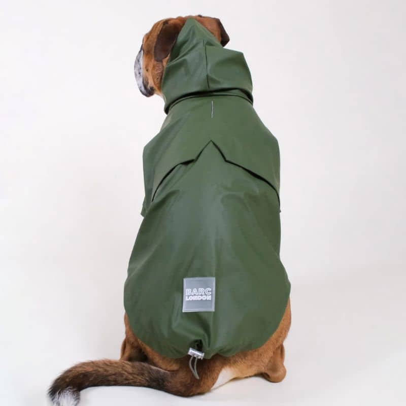 Imperméable pour chien de grande taille pour se protéger de la pluie coupe tendance ciré kaki