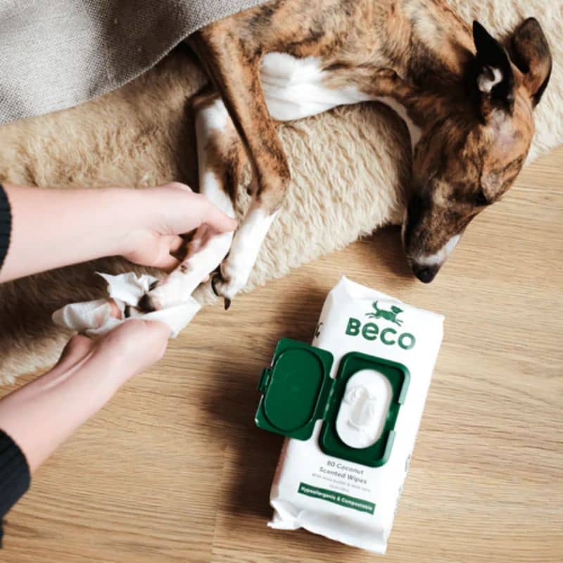 lingettes nettoyantes pour chien en bambou et parfumées à la noix de coco adaptées aux peaux sensibles, coussinets, yeux and co par Beco Pets
