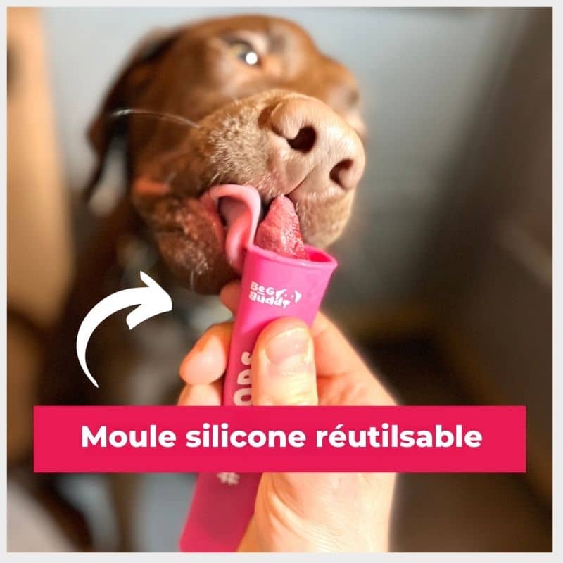 boite de 6 moules en silicone coloré et sans BPA pour réaliser des glaces pour chien sous forme de Mister Freeze : les IcePops Beg Buddy sont idéales pour rafraichir le chien l'été