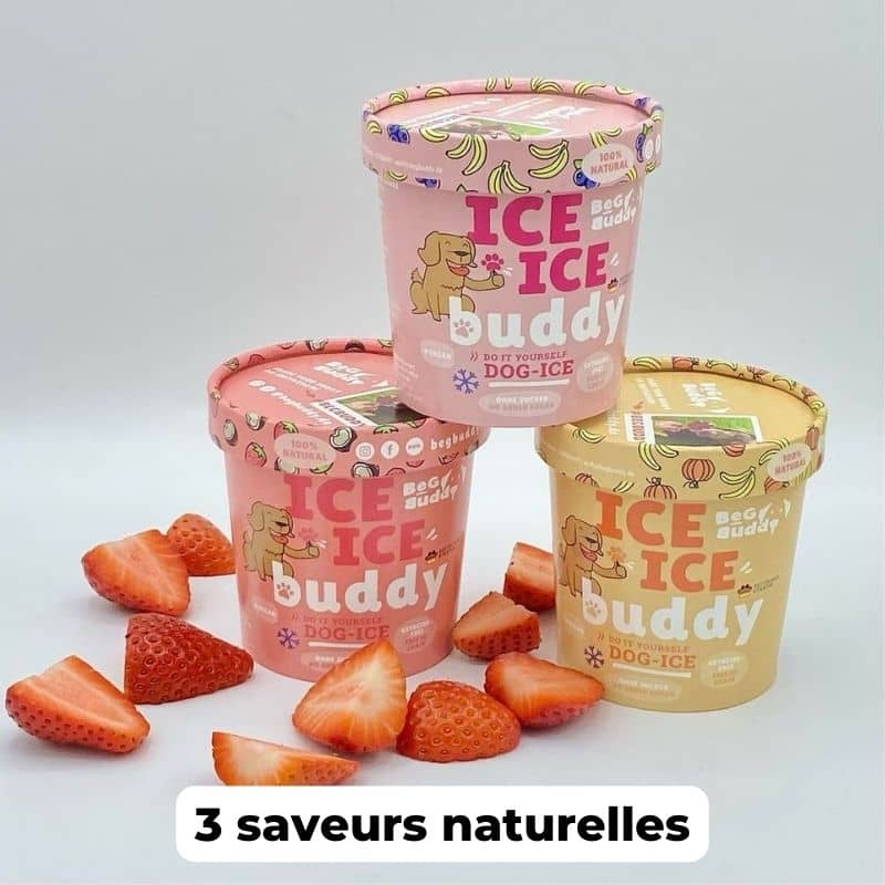 préparation de glace 100% naturelle pour chien à la banane et citrouille Beg Budddy : une friandise saine et gourmande idéale pour rafraichir le chien l'été