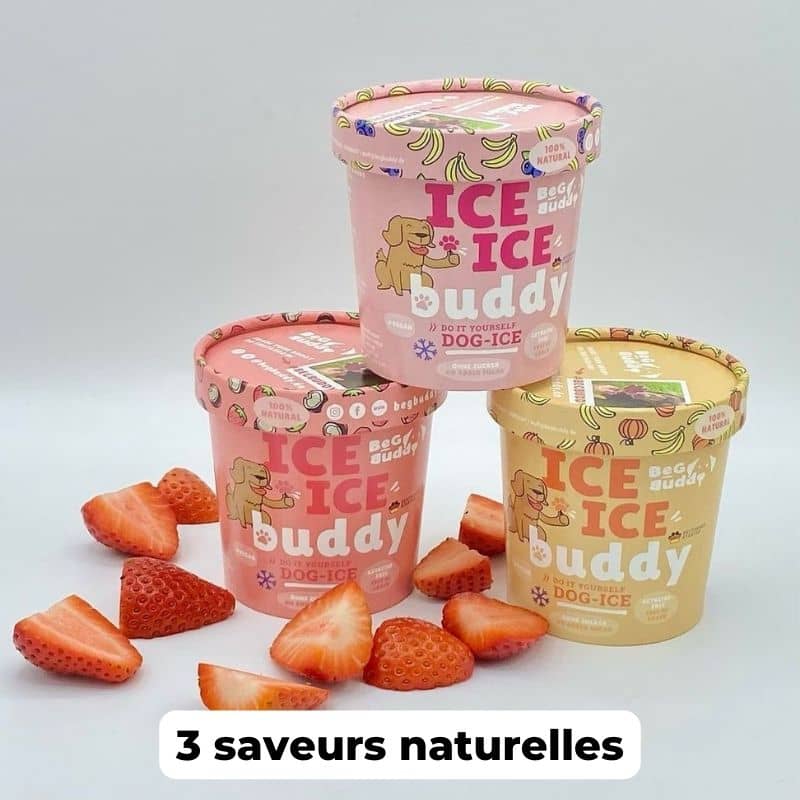 préparation de glace 100% naturelle pour chien à la banane et myrtille Beg Budddy : une friandise saine et gourmande idéale pour rafraichir le chien l'été