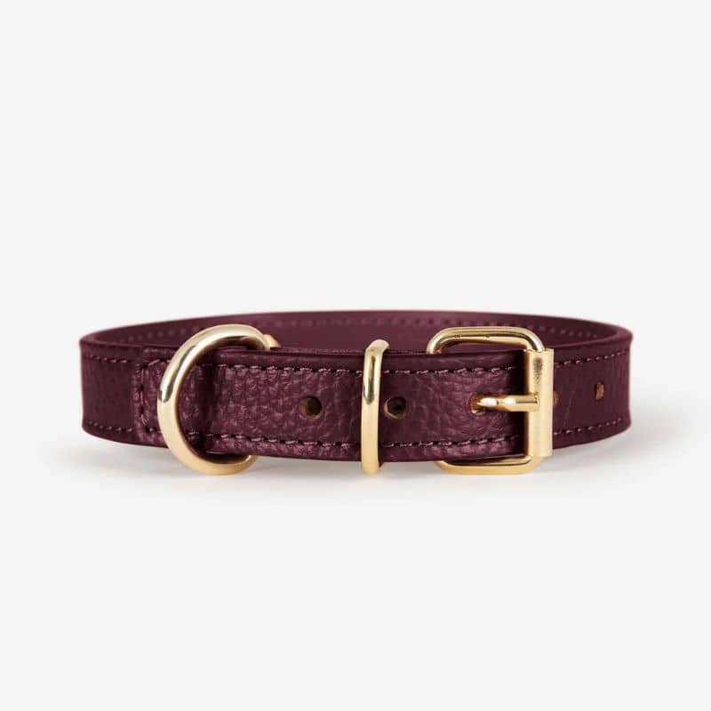 Collier pour chien en cuir italien modèle Juno de Branni Pets - grenat boucle dorée