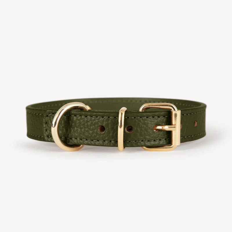 Collier pour chien en cuir italien modèle Juno de Branni Pets - vert olive boucle dorée